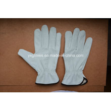 Driver Glove-Sheep Skin Driver Glove-Weight Lifting Glove-Winter Glove-Warm Glove
